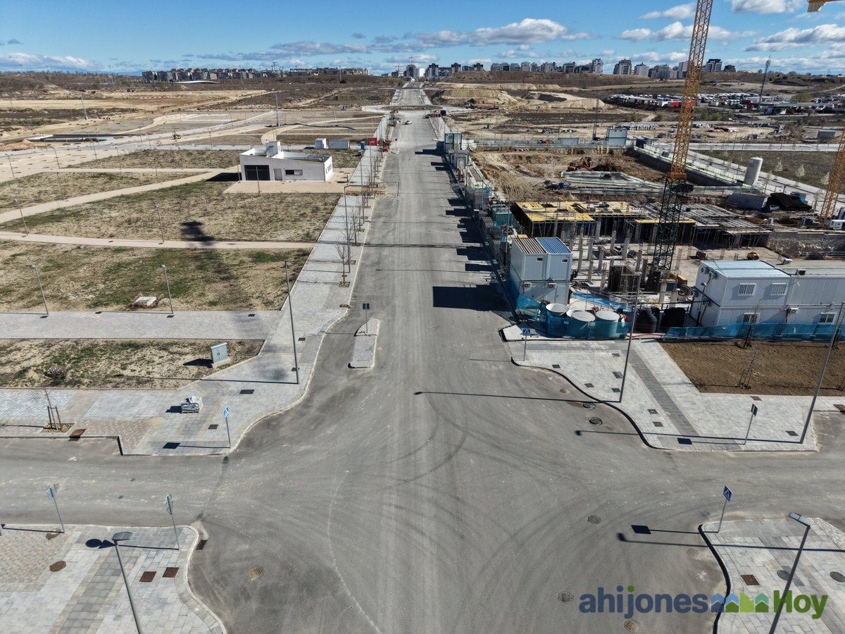 Calle principal con arbolado, aceras y alumbrado