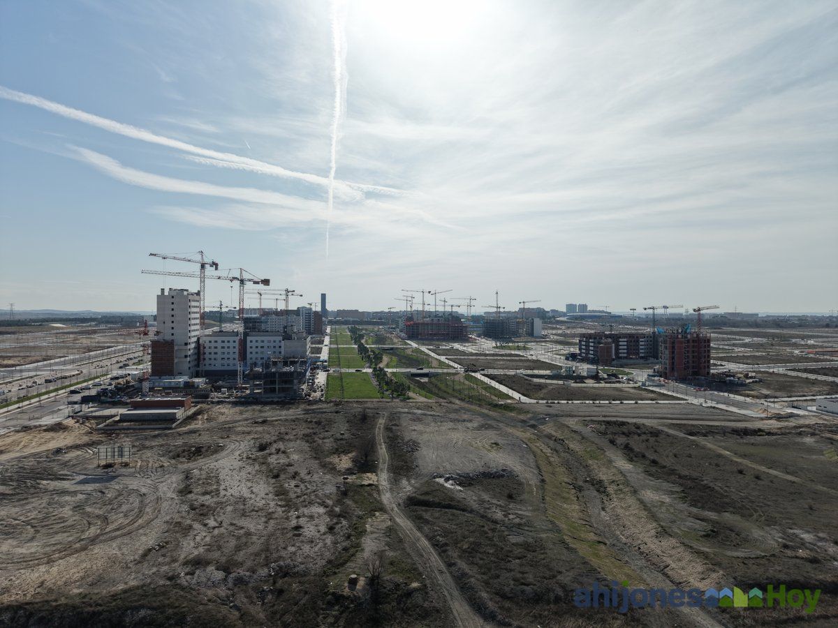 Vista panorámica de las obras con grúas al fondo y explanaciones en primer plano